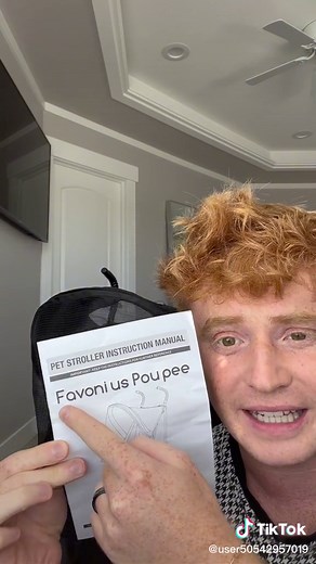 Cat Stroller Adventure: Taking My Cats on a Walk Outside