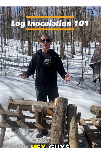 🍄🪵 🍄🪵🍄🪵🍄🪵🍄How to Inoculate Logs with Shiitake Plug Spawn🪵🪵🪵 Interested in growing your own shiitake mushrooms? This step-by-step video covers the full process of log inoculation using plug spawn: •\tTools & materials you’ll need •\tProper drilling technique •\tInserting plug spawn correctly •\tSealing with wax to protect and support colonization This method works best with fresh-cut hardwoods like oak or maple and is a great way to cultivate mushrooms sustainably at home. Check out o