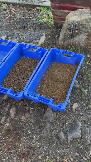 Can you believe that sky? West Cornwall's famous for its light for a reason. Thank you so much to Nick for spending the morning with us in Newlyn ⛵ Nick Howell is one of the volunteers working to restore Newlyn's Old Harbour and Quay - a beautiful spot in this historic fishing town that you might recognise from our recent photoshoots... | Seasalt Cornwall