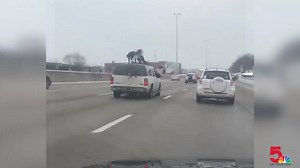 This is exactly what you're NOT supposed to do while driving... and if you witness it, you should contact police. FULL STORY: https://on.ksdk.com/2M9RTOY | KSDK News