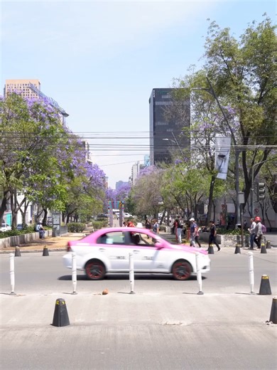 URGENTE! Exposicion de datos personales en telcel