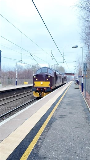 West Coast Railway Co Class 37s Carnforth Steamtown to Mossend Down Yard passing Shieldmuir #class37