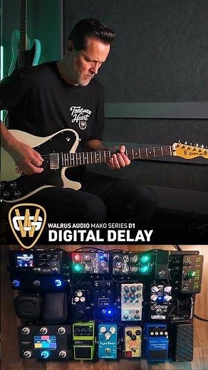 Walrus Audio D1 Digital Delay 🤌