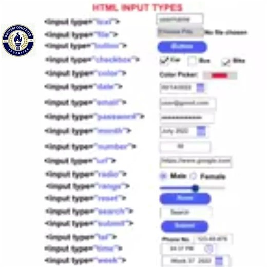 input type #HTML