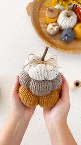 🎃🍂 How to make a pumpkin stack in less than 30 seconds 🙌🏻🍁 ✨The full tutorial is FREE on the blog!! 👉🏻 Head to simplymadebyerin.com or tap the link in bio to grab the FREE pattern! 🏷️ Tag a crochet lover who’s ready for fall!! #simplymadebyerin #freepattern #diyhalloween #knittingmachinequeens #knittingmachinepumpkin #stackedpumpkins #diyfalldecor #pumpkindecor | Simply Made By Erin