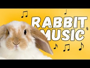10 Hours of Relaxing Music for Rabbits ♬ Relaxing Music, Sleep Music, Peaceful Music