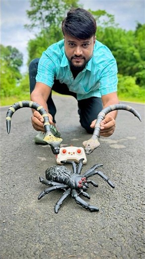 Remote control 2 Snake🐍 and Rechargeable Rc Climbs Spider🕷️