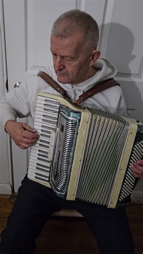 O Mary Holy Mother (Accordion Cover)