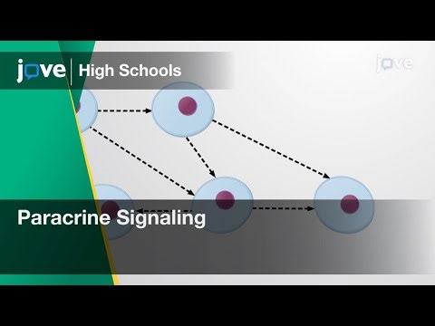 Paracrine Signaling | Bio | Video Textbooks - Preview