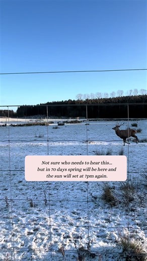 sarah_jane_farrell (@sarah_jane_farrell)’s videos with End Of Beginning by DJO - aboutourfeelingss