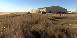 Allergist says misery caused by peak of weed pollen, cotton harvest season