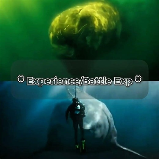 Moby Dick (In The Heart Of The Sea) vs Megalodon (The Meg 1-2)