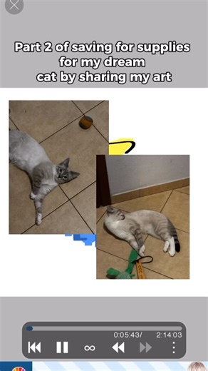 ⭐️stral | Part 2 for trying for kitty💕 #help #commission #cat #kitty #digital money help comms art trade love friend furr | Instagram