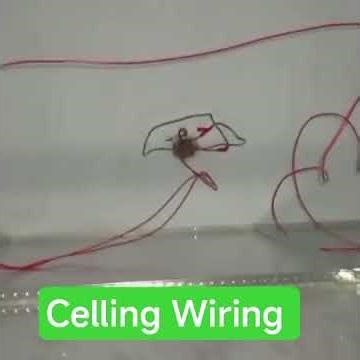False Ceiling Electrical Wiring #shortvideo #electrical #viral