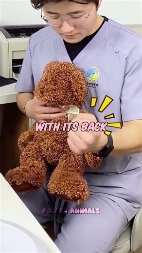 What to do if your cat is choking 😿🚨