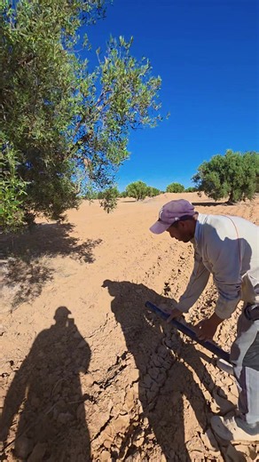 Amine Solar Energy Mahres Bir Ali Skhira solar project