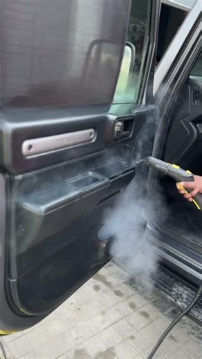 The Science of Steam Washing