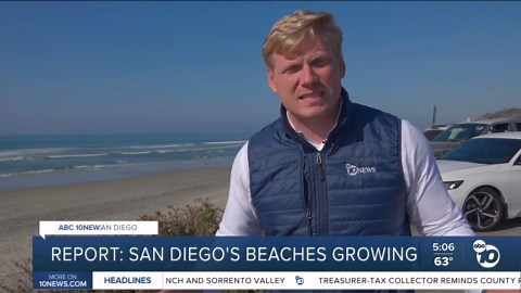 New studies explain the status of local and statewide beaches