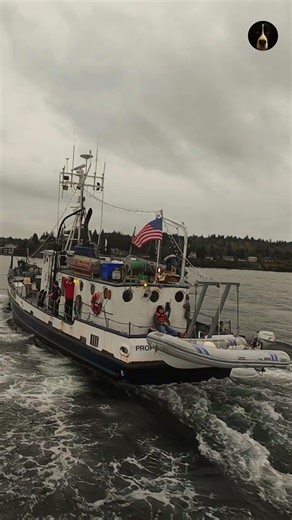 Boat Propeller Approaching Ballard Locks ⚓ Seattle Boating