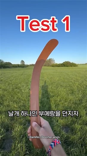 How does a seven-winged boomerang fly?