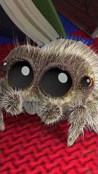 Avocado's SPOOKY Ghost Story for Kids #lucasthespider #friends #cartoons