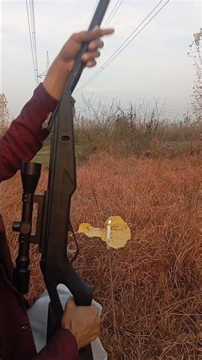 Best Air Gun for Target Shooting Review & Test Air Gun Marksmanship Hitting the Target