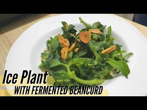 Can You Eat Ice Plant? | Chinese Stir Fry