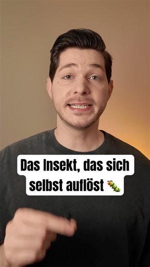 Das Insekt, das sich selbst auflöst 🐛 #wissen #fakten #funfact #tiere #shorts