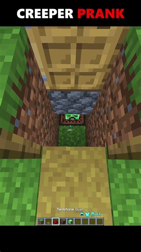 MInecraft Creeper Prank #cyborg