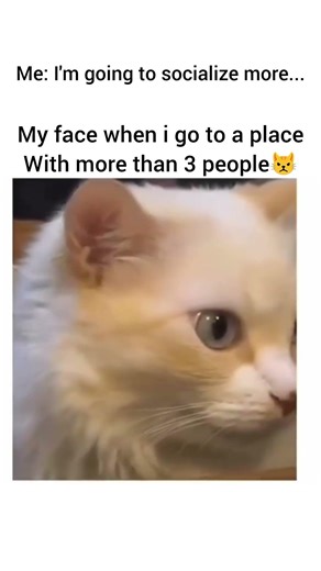 mujhe kya ho jata hai#trending#shorts#youtubeshorts#viral#relatable#reels#funny#viralvideo#cat#anime