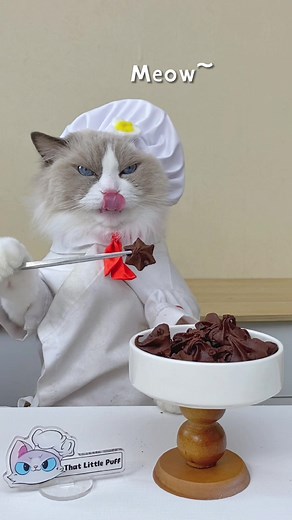 Microwave Cookie Baking with Puff the Cat