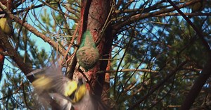 Video by Nils Vega on Pexels