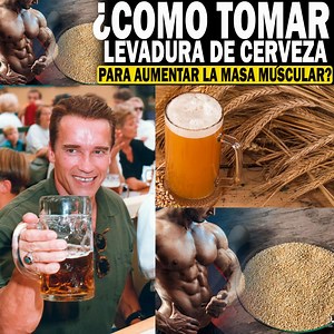 ¿COMO TOMAR LEVADURA DE CERVEZA PARA AUMENTAR LA MASA MUSCULAR? | Sangredespartano