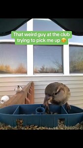 13K views · 191 reactions | There's always that one creep  #club #flirting #creepy #dating #clubbing #funny | Birdbuddy | Facebook