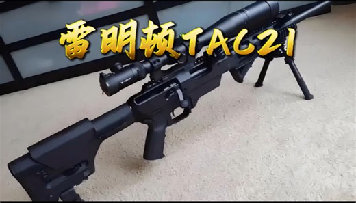 雷明顿模块化双用途战术步枪-TAC21