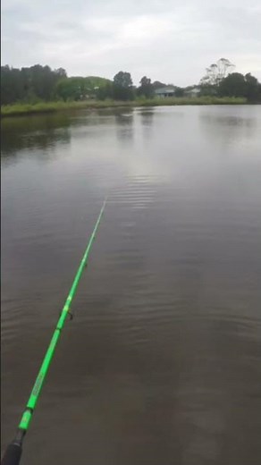 running 20lb braid for popping now heaps easier to use
