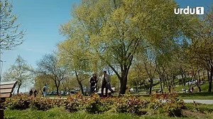 Emergency Pyar Episode 27