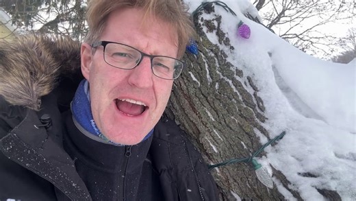 Exploding trees? You won’t believe what cold does to them