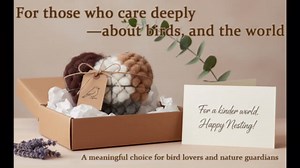 Handmade Alpaca Fiber Bird Nesting Heart, Birds Nests Material Holder, Winter Tree Shelter for Wild Bird, Hummingbird Houses Nest Boxes Gifts for Outside Garden Art Birdhouse, Birds Lovers (1PC)