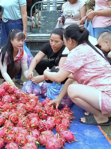 Bushcraft Techniques for Effective Gardening and Harvesting