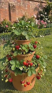 The Smartest Small Space Garden Hack You'll Ever See 🍓 | Resin Dreaming