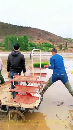 زراعة الأرز بالآلة: كيف تغير التكنولوجيا وجه الزراعة التقليدية؟