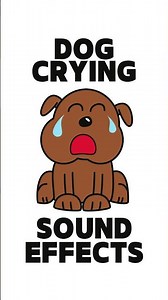 Dog Crying Sound Effects