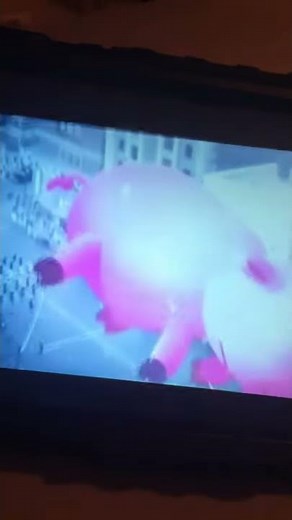 Wings Productions/When Pigs Fly Incorporated/CBS Television Studios (2014)