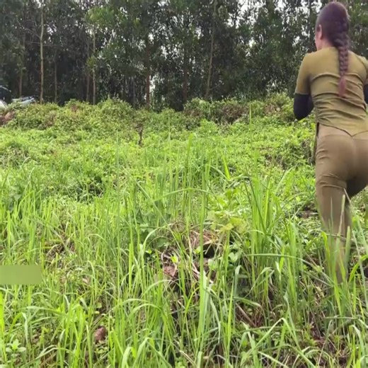 173K views · 5.3K reactions | The_girl_restored_the_OHC_INJECTION_car_that_was_left_in_the_banana | Cordle Family | Facebook