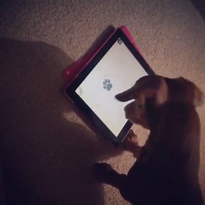 18K views · 209 reactions | When you realise there's up to 50% off at boohoo  Shop now  bit.ly/OYi38y  #boohooblackfriday | boohoo.com | Facebook