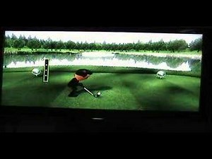 wii sports golf target practice