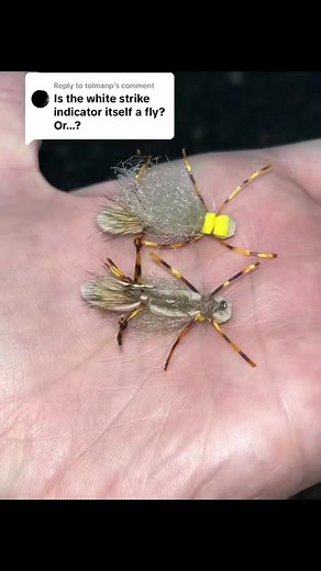 Replying to @tolmanp it’s called a Rosenhopper. It’s a size 8 hopper fly. It’s what I use for a dry dropper rigs. I can put a pretty large fly as a dropper and it stays a float. And trout love this pattern of hopper. I default to size 8, but if you’re fishing smaller flies, you can use a size 10, as sometimes a smaller hopper is more appealing to some trout, especially bc it can be mistaken for a large caddis! I get them @Fulling_Mill I just made a video on how to rig it up. It’s the previous vi