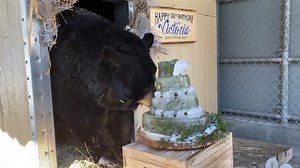 Clarks Trading Post on Reels