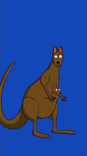 Momgaroo